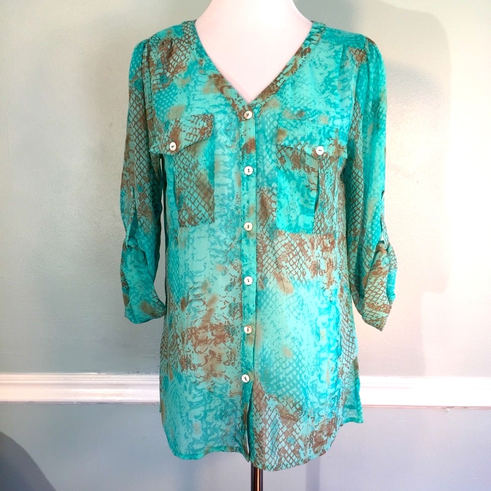 Gorgeous Sheer Blouse